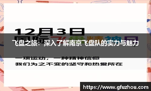 飞盘之旅：深入了解南京飞盘队的实力与魅力
